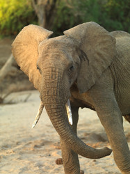 Similar image 8096578