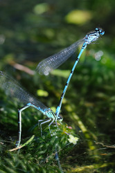 Similar image 8096598