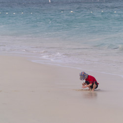 Similar image 8096603