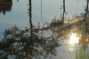 Similar image 8096612