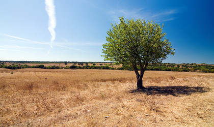 Similar image 8096617