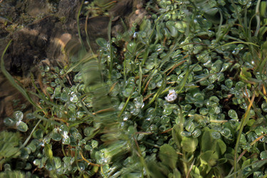 Similar image 8096623