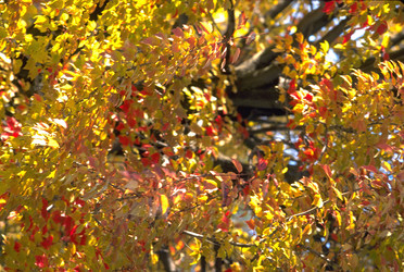 Similar image 8096627