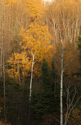 Similar image 8096629