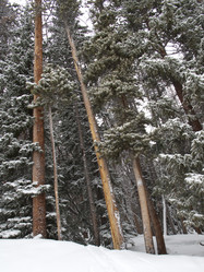 Similar image 8096630