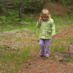 Similar image 8096640