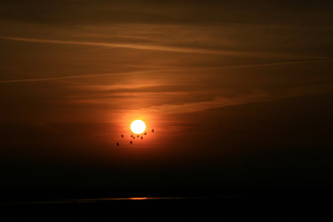 Similar image 8096644