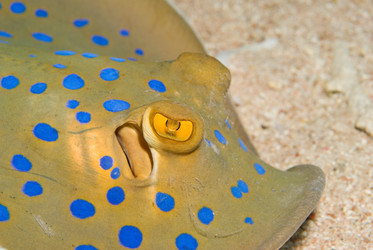 Similar image 8096646