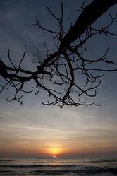 Similar image 8096647