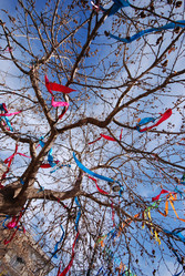 Similar image 8096650