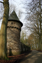 Similar image 8096652