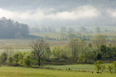 Similar image 8096662