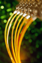 Similar image 8096666