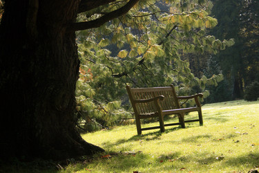 Similar image 8096671