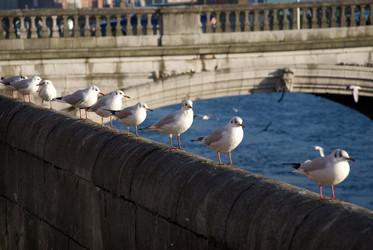 Similar image 8096673