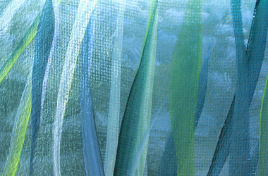 Similar image 8096677