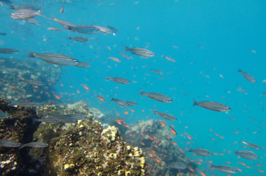 Similar image 8096684