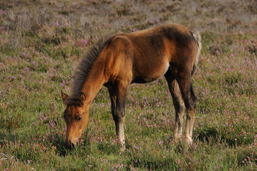 Similar image 8096688