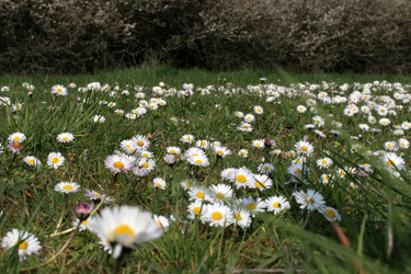 Similar image 8096701