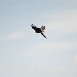 Similar image 8096702