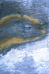 Similar image 8096704