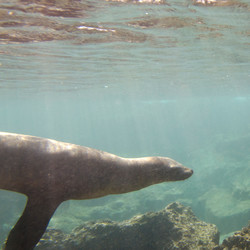 Similar image 8096706