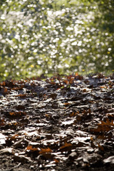 Similar image 8096708