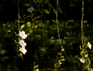 Similar image 8096709