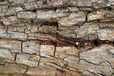 Similar image 8096714