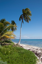 Similar image 8096717