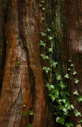 Similar image 8096723