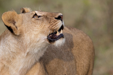 Similar image 8096730