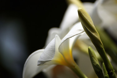 Similar image 8096731