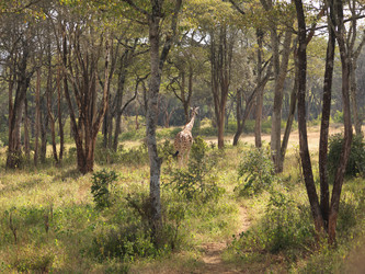 Similar image 8096733