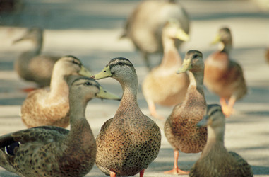 Similar image 8096737