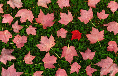 Similar image 8096740