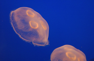 Similar image 8096743