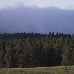 Similar image 8096748