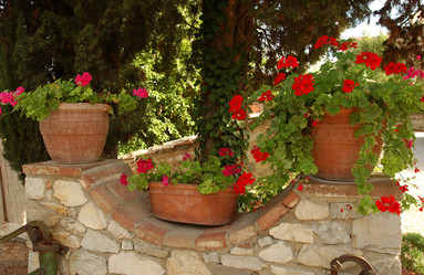 Similar image 8096753