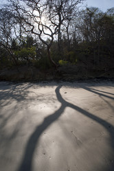 Similar image 8096758