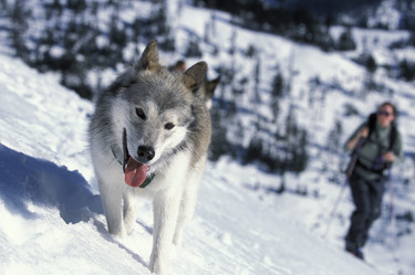 Similar image 8096762