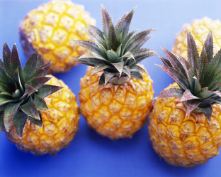 Similar image 8096763