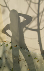 Similar image 8096781