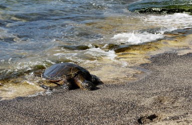 Similar image 8096783