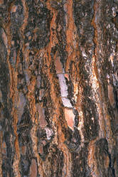 Similar image 8096787