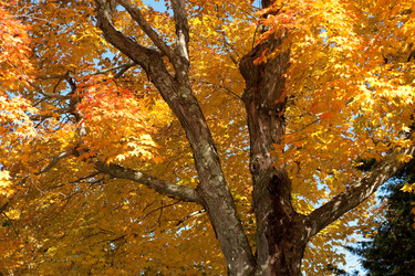 Similar image 8096794