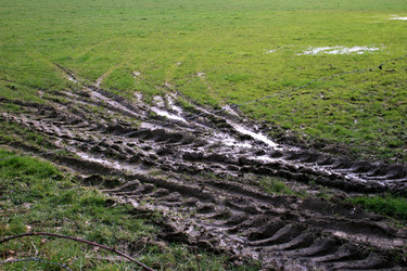 Similar image 8096798