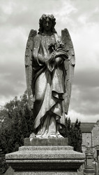 Similar image 8096805