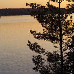 Similar image 8096813