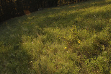 Similar image 8096839